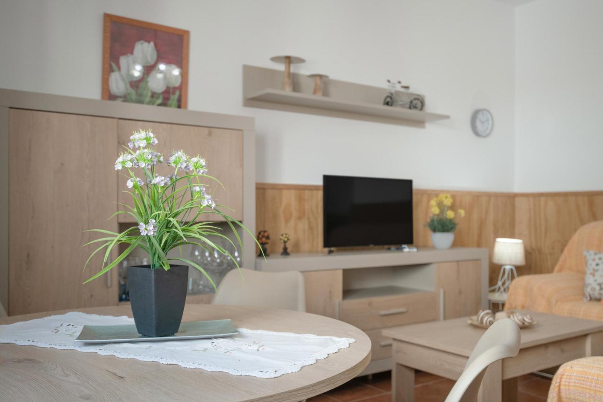 Apartamento Rocio - Solo Familias Conil De La Frontera Dış mekan fotoğraf